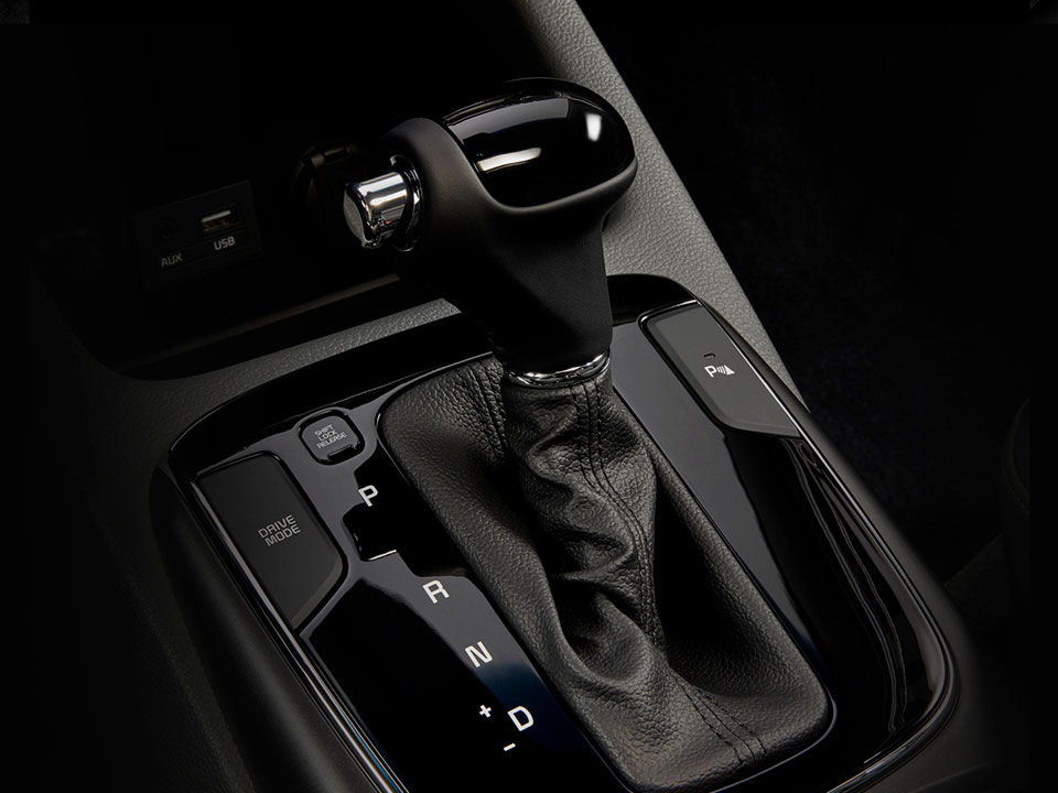 img_ceratoforte_performance4_w