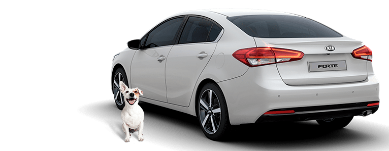 Kia-pet-tip-5