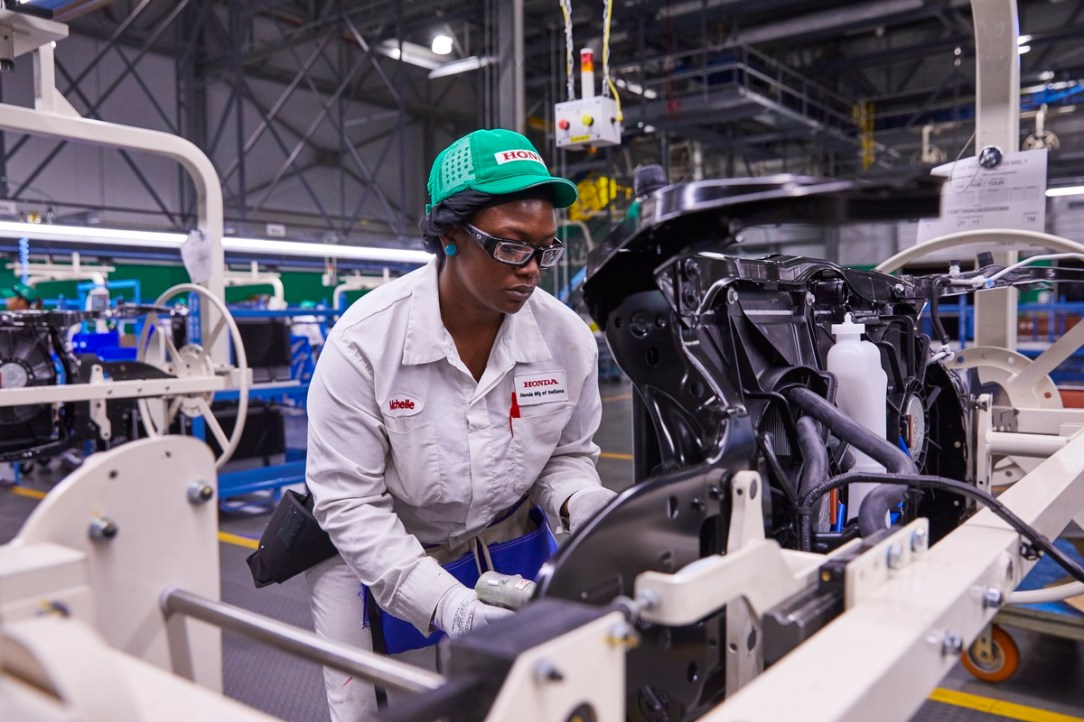 Insight-subensamble-frontal