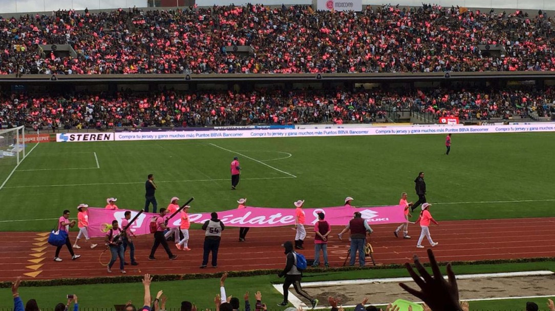 WhatsApp Image 2018-10-21 at 19.36.19