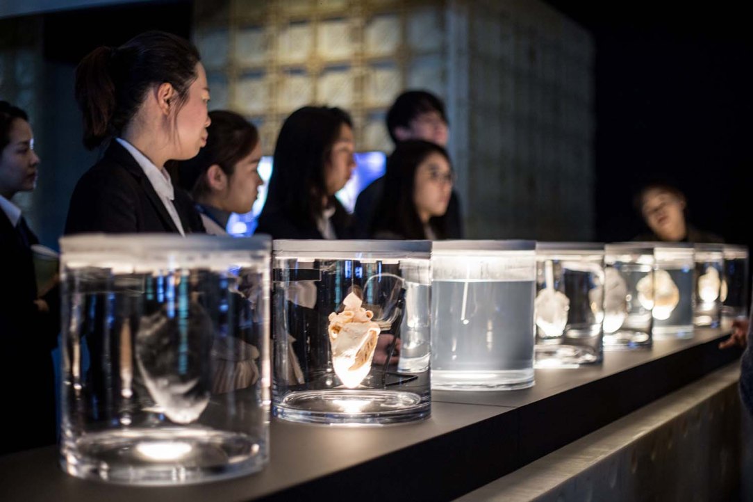 (Photo 1) The Art of Deception (Isaac Monte, Toby Kiers)