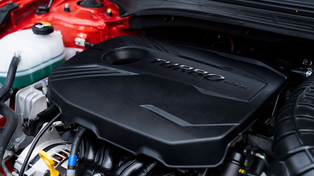 forte gt baja (32 of 54)